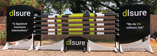 Wood horse jump - DL Sure